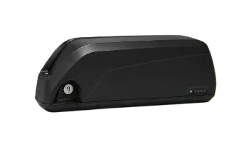 E-bike battery EVOLA